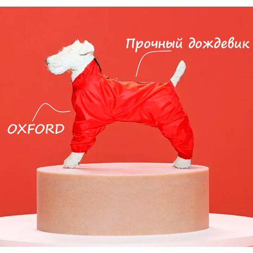 Дождевик-комбинезон для американского стаффордширского терьера кобеля, повышенной прочности, цвет красный