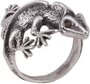 Кольцо бижутерное Саламандра (Безразмерное, Бижутерный сплав, Серебристый) 55919
