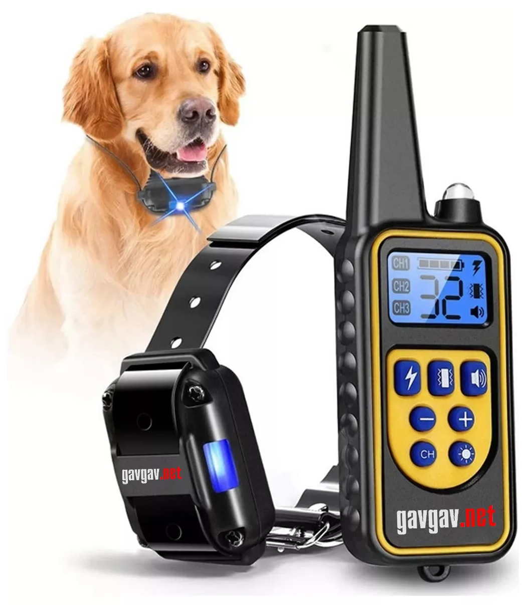 Электронный ошейник для дрессировки собак Р-880PRO. Оригинал! Новая версия