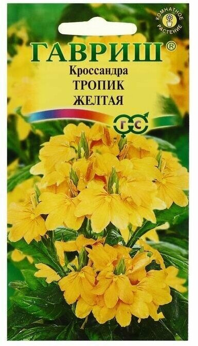 Семена цветов Кроссандра "Тропик желтая" серия Элитная клумба 3 шт