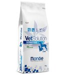 Monge VetSolution Dog Dermatosis диета для собак Дерматозис 12 кг - изображение