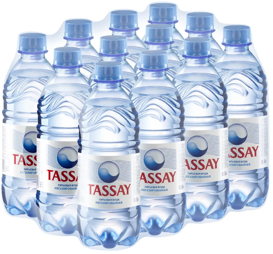 Вода питьевая TASSAY (Тассай), негазированная, 0.5 л х 12 шт, ПЭТ