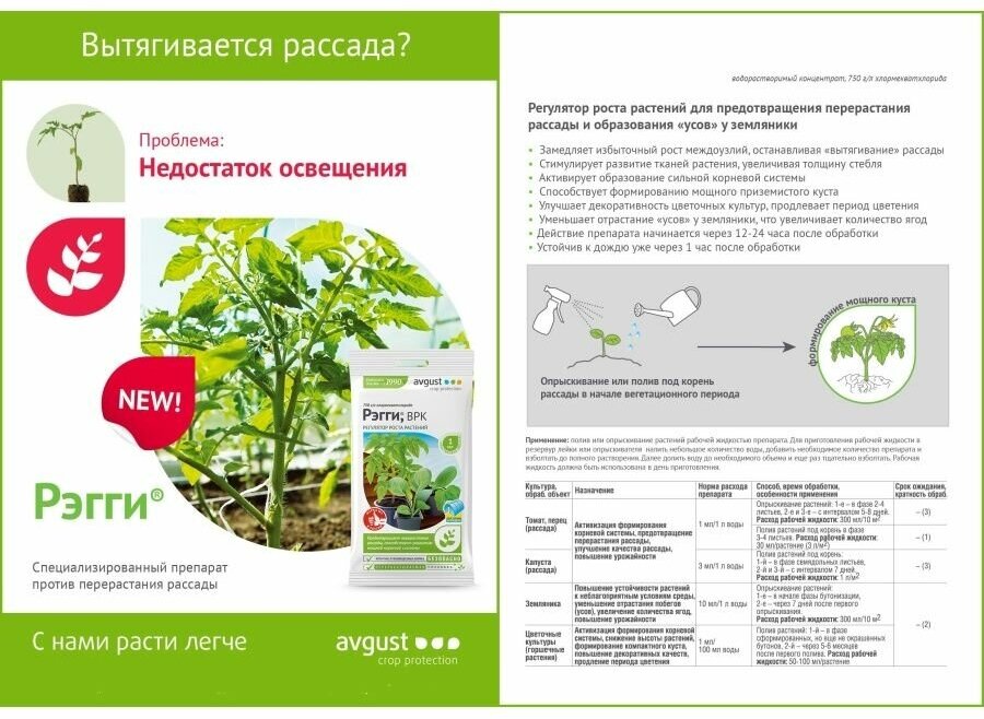 Регулятор роста растений "Август", "Регги", 1 мл - фотография № 5
