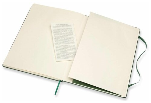 Блокнот Moleskine CLASSIC QP093K15 XLarge 190х250мм 192стр. пунктир твердая обложка зеленый