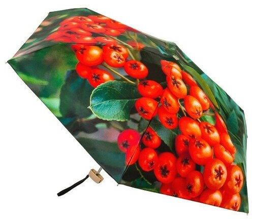 Мини-зонт RainLab, механика, 5 сложений, купол 94 см, 6 спиц, для женщин, зеленый