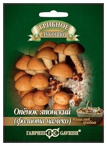 Гавриш Опенок японский Фолиото намеко на древесной палочке, большой пакет, 12 штук