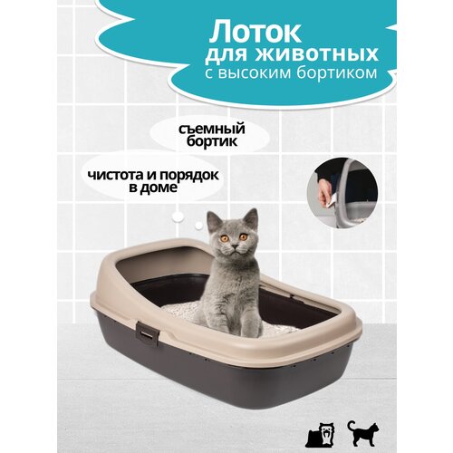 Лоток для домашних животных бежевый 59х39х20,5см с бортиками PET PLAST'ART