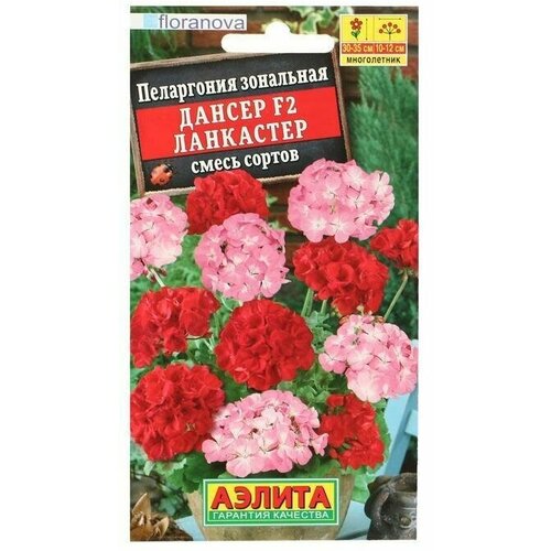Семена цветов Пеларгония Дансер Ланкастер, смесь окрасок, F2, 5 шт 2 упаковки семена цветов пеларгония дансер f2 ворви
