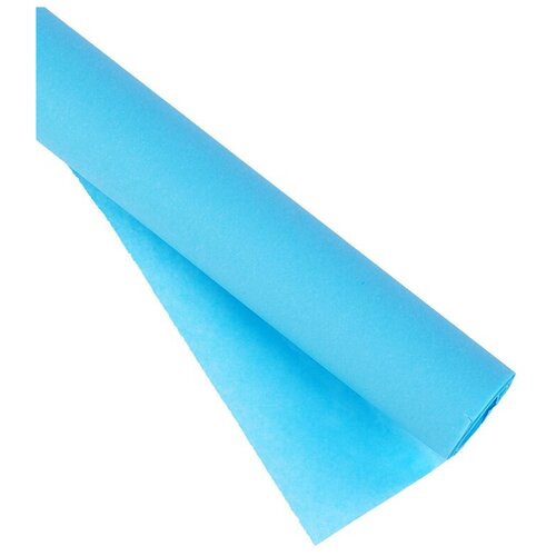 Пергамент для кроя Евроснаб голубой 60 г/м, рулон 49,5 смх3 м (пергамент.49503. голубой)