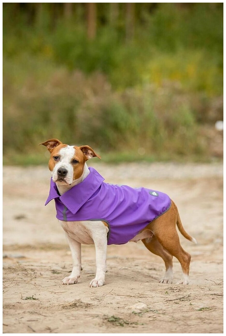 Накидка для собак Одежда для животных - фотография № 7