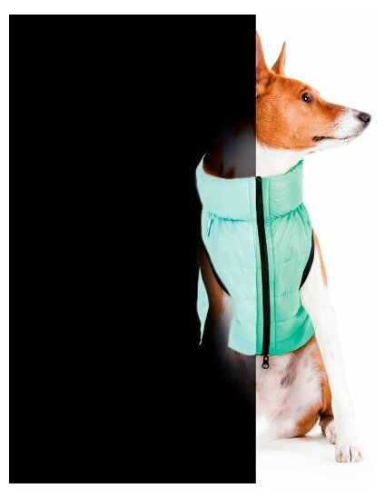 Куртка двухсторонняя для собак AiryVest "Lumi", цвет: салатово-голубой (светится в темноте), размер S 35 - фотография № 3