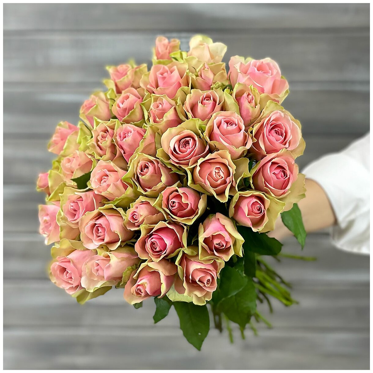 Букет из 31 зелено-розовой розы с лентой 40см