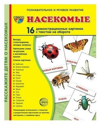 Сфера ТЦ издательство Демонстрационные картинки Насекомые 16 карточек с текстом Учебно-методическое пособие с комплектом демонстрационного материала