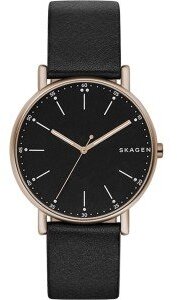 Наручные часы SKAGEN