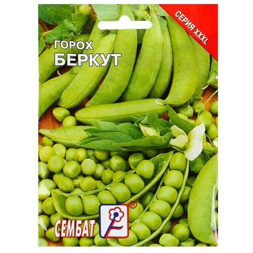 Семена ХХХL Горох Беркут, 25 г 10 упаковок беркут 2 el