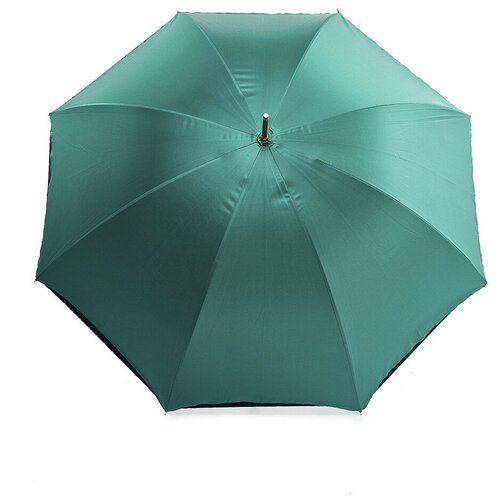 Мини-зонт Pasotti, механика, для женщин, зеленый