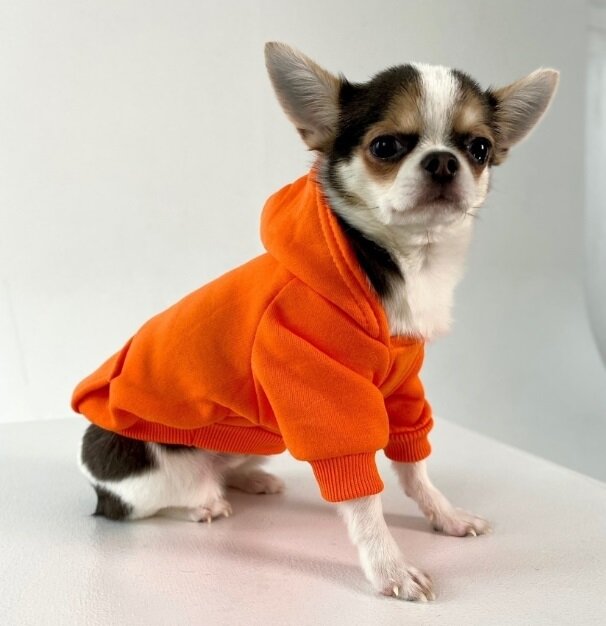 Кофта - толстовка для мелких пород собак "BRO Style", цвет оранжевый, р M (на флисе) обхват груди 42 см, обхват шеи 36 см, длина по спинке 30 см.