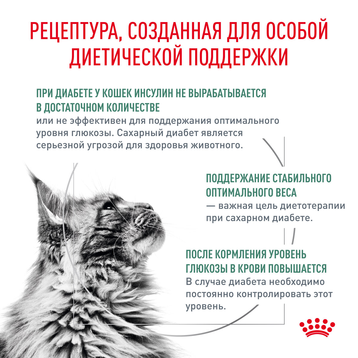 Royal Canin Diabetic (Диабетик) Корм для взрослых кошек при сахарном диабете, сухой диетический, 1,5 кг