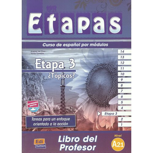 Etapas 3 Profesor