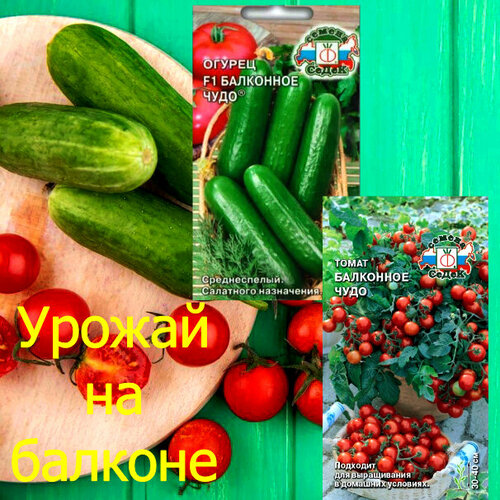 Балконное Чудо - набор семян томата и огурца