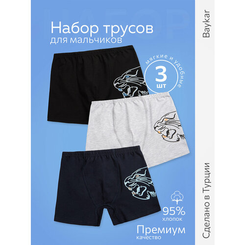 фото Трусы baykar для мальчиков, 3 шт., размер 6, цветной