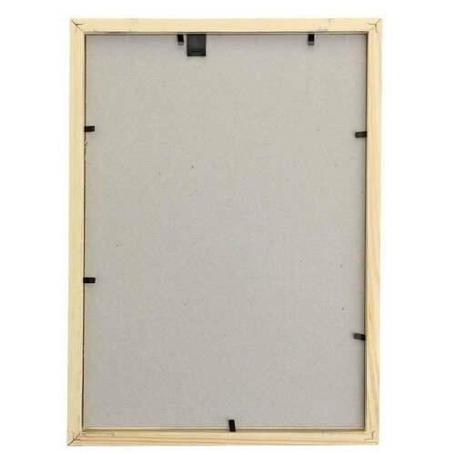 Фоторамка сосна с19 серебро 21х30 см (пластиковый экран)