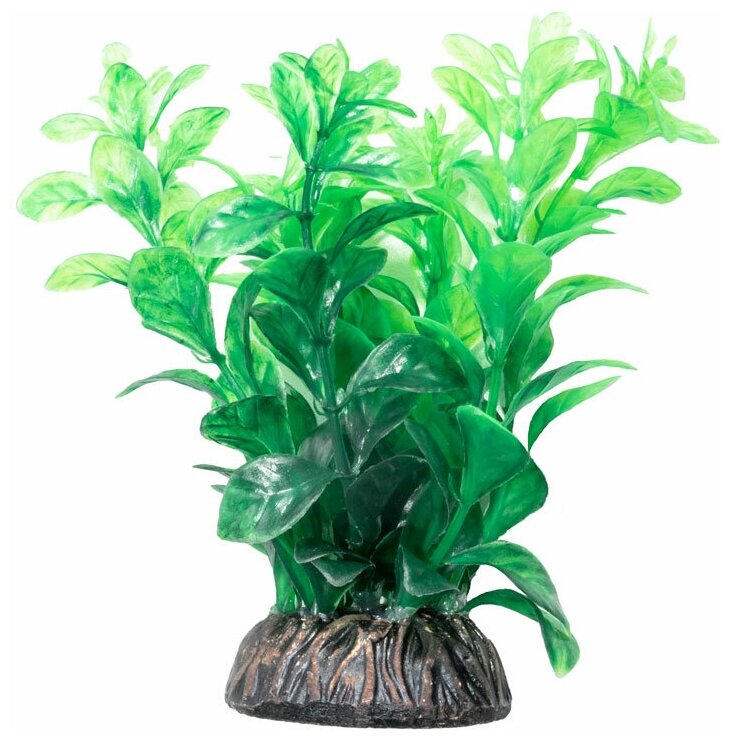 Растение LAGUNA "Людвигия" зеленая, 100мм - фотография № 4