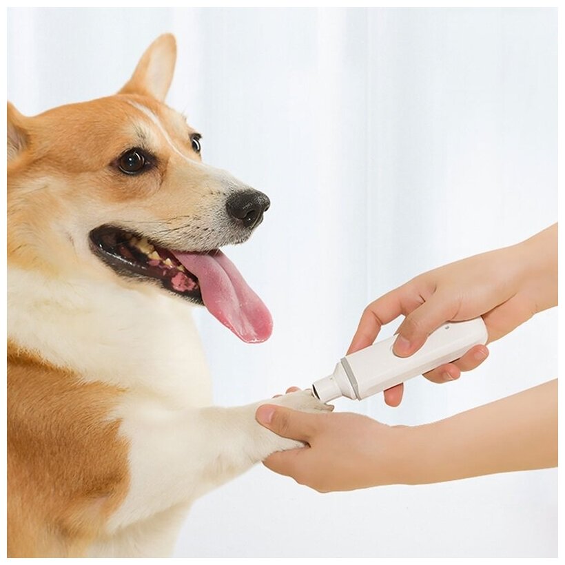 Триммер для когтей домашних животных от суббренда Xiaomi Pawbby Pet Electric Nail Sharpener (MGNG001) - фотография № 7