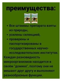 33 Богатыря Удобрение для оздоровления почвы, почвооздоравливающий препарат. Набор 2 уп по 5 л. ОЖЗ Кузнецова - фотография № 4