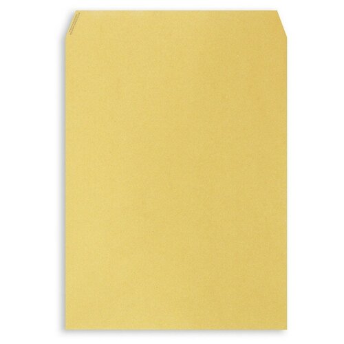 Пакет Крафт E4 стрип Multipack300х400 100г 500шт/уп/5861