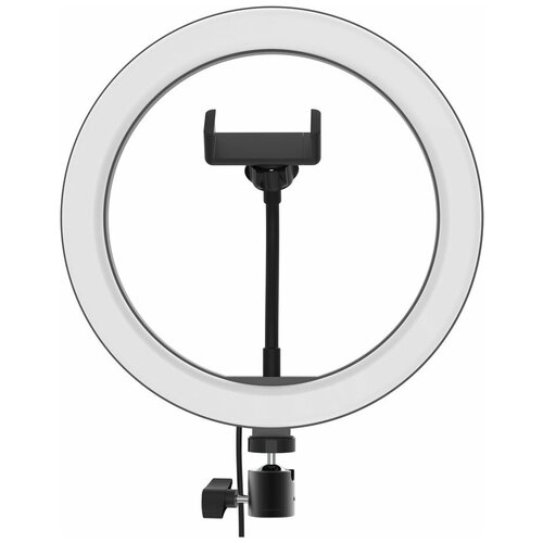 Светодиодная кольцевая лампа освещения RITMIX RRL-262 121500₽