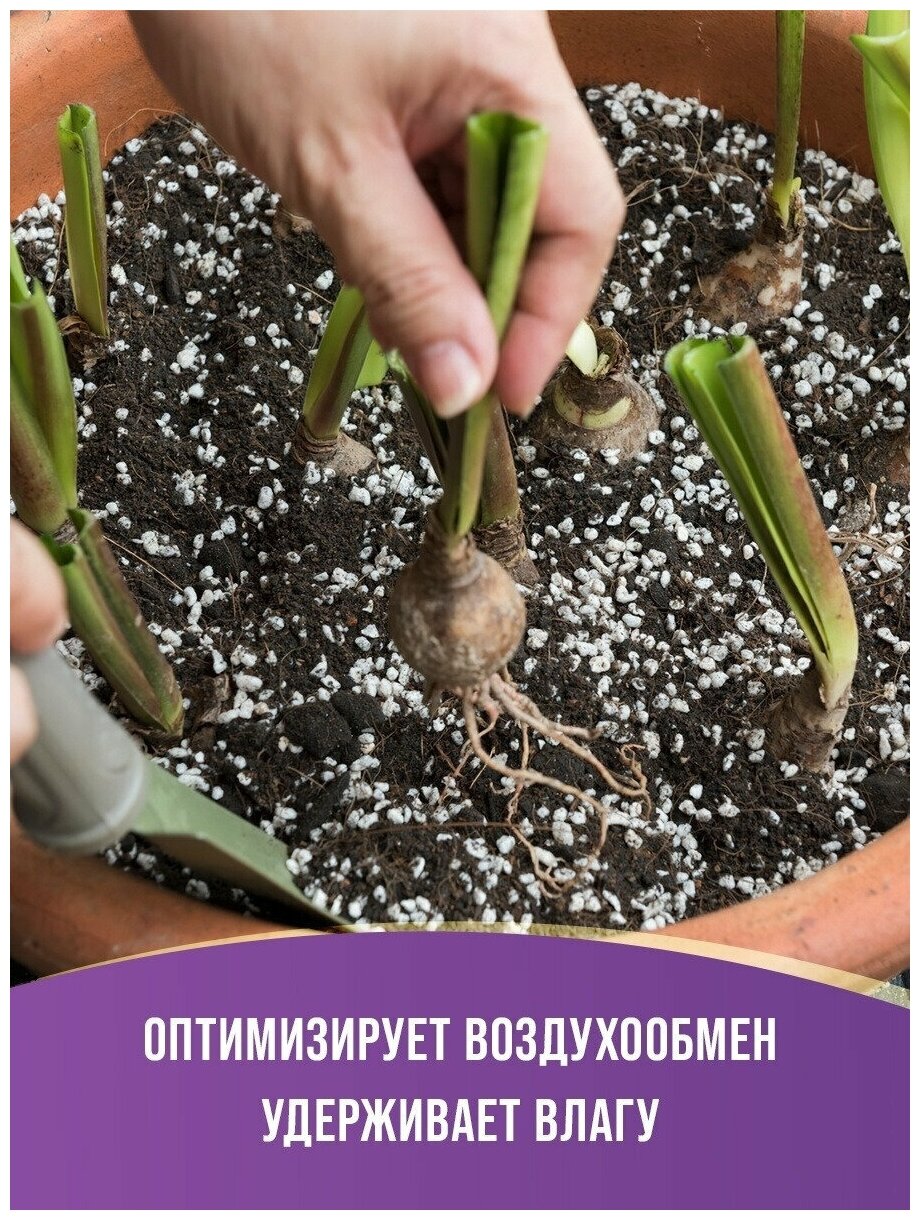 Агроперлит для растений, 5 л, Зеленстрой - фотография № 5