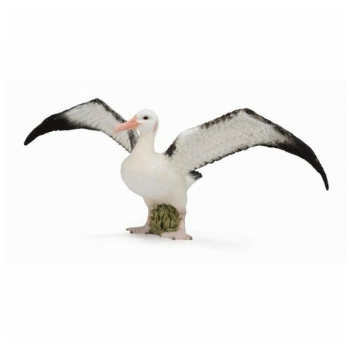 Фигурка Collecta Странствующий альбатрос 88765, 7 см фигурка птицы collecta страусенок сидящий