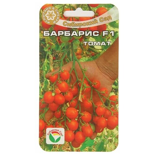 томат бифселлер красный f1 15шт индет ранн сиб сад Барбарис F1 15шт томат (Сиб сад)