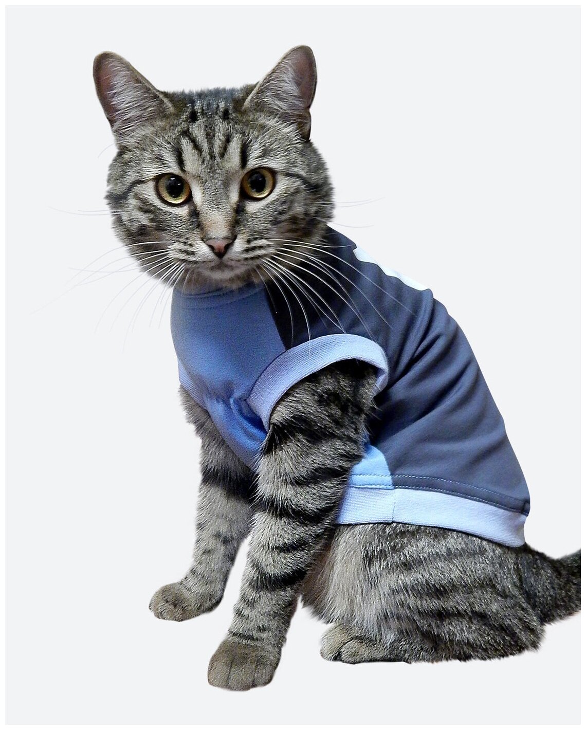 Футболка для кошек размер XS / Я добряу / Одежда для собак мелких пород / Одежда для кошек / Одежда для кошек сфинксов - фотография № 6