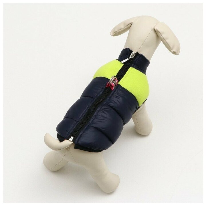 Куртка для собак на молнии, размер 16 (ДС 36 см, ОГ 46 см, ОШ 35 см),синяя с жёлтым - фотография № 13