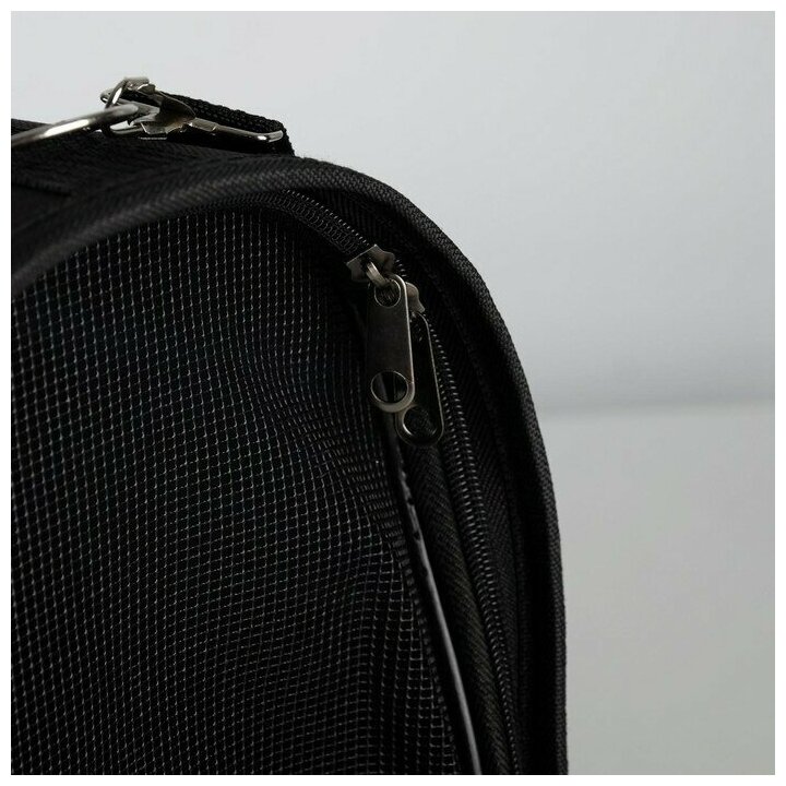 Сумка-переноска раскладная, каркасная «Бро не багаж» 52x22x29 см - фотография № 8