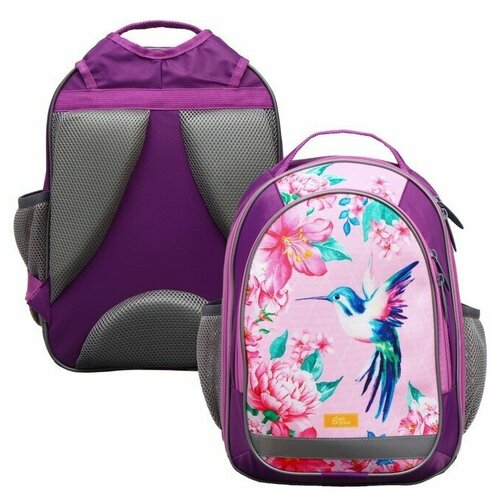 Рюкзак школьный с эргономичной спинкой Колибри, 37 х 27 х 16, голубой/розовый