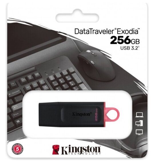 USB флешка Kingston 256Gb DTX/256Gb USB 3.2 Gen 1 (USB 3.0)