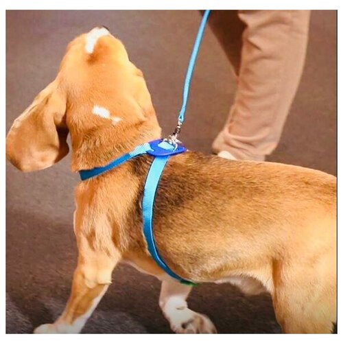 Шлейка Japan Premium Pet для собак Легко Надеть с защитным механизмом от перекручивания шлейка для собак japan premium pet легко надеть с защитным механизмом от перекручивания цвет розовый размер l