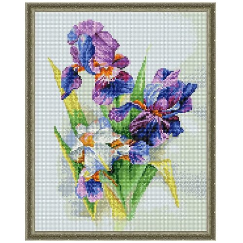 Алмазная вышивка Molly KM1050 Ирисы