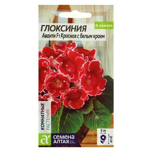 Семена комнатных цветов Глоксиния Аванти Красная с белым краем, 8 шт