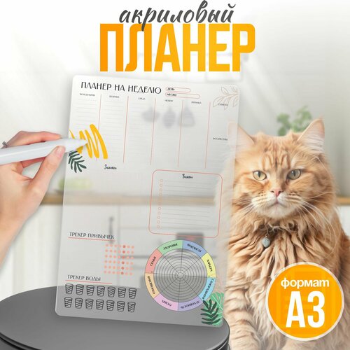 Планер настольный а3 План на неделю колесо баланса трекер