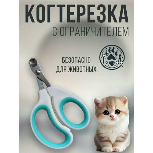 Когтерезка бирюзовая, когтеточка, когтерез, пилка для собак, кошек