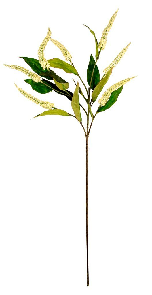 Цветы декоративные BIZZOTTO CASCARA WHITE 0171550 830h