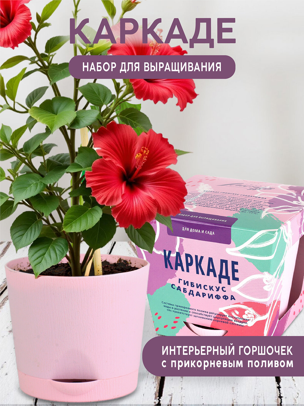 Набор для выращивания растений и цветов в горшке для дома