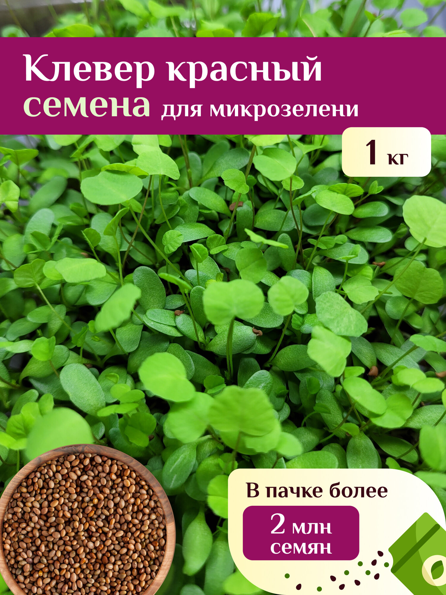 Клевер красный семена микрозелени Ильинские проростки 1 кг