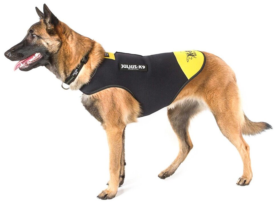 JULIUS-K9 жилет для собак Neoprene IDC, размер M, черно-желтый - фотография № 6