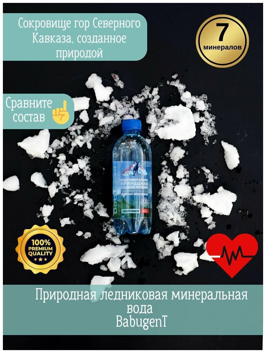 Вода природная минеральная питьевая BabugenT , газированная. Пластик, 12 шт. по 0,37 л - фотография № 1