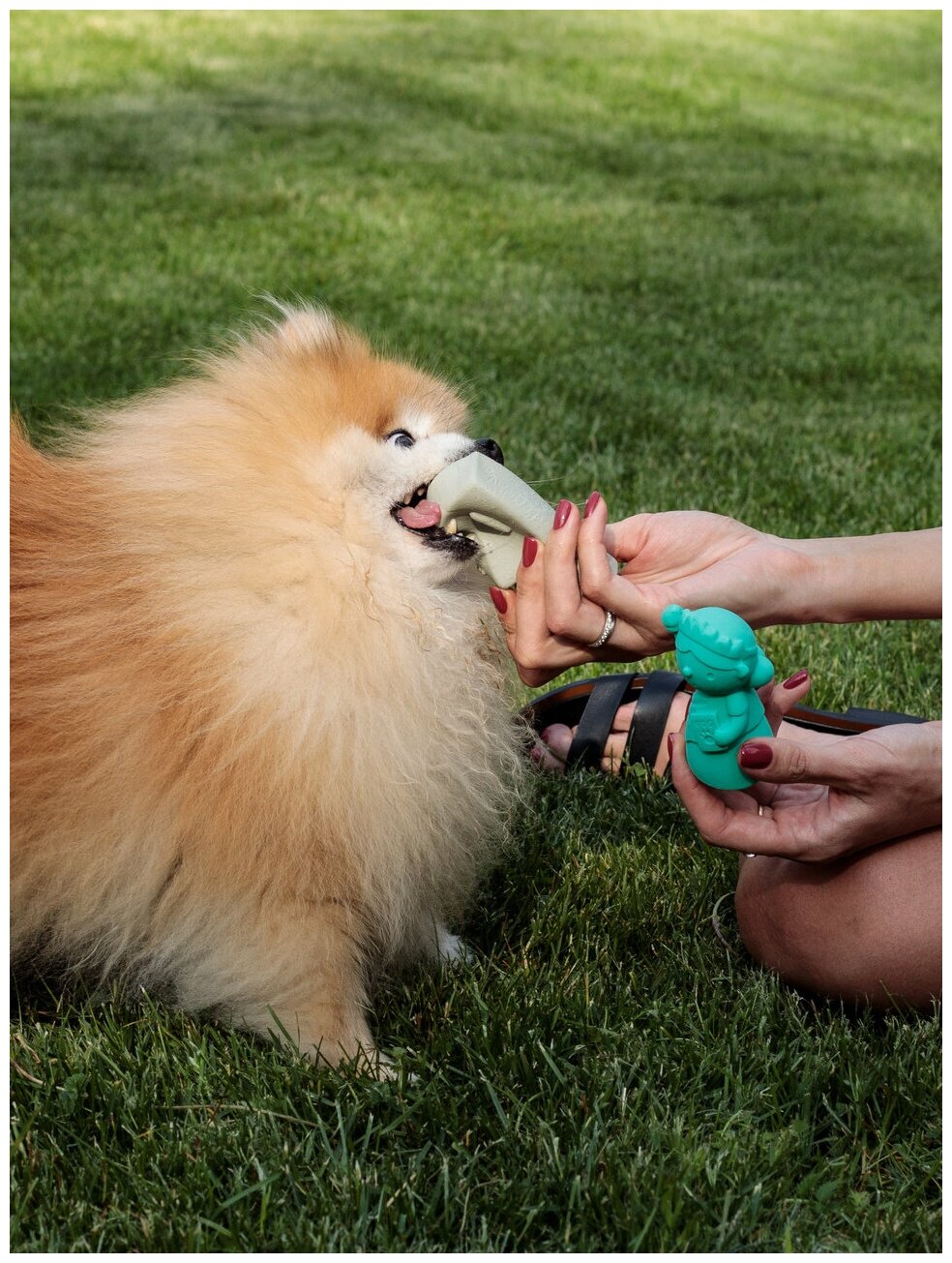 Игрушка для собак Japan Premium Pet из натурального латекса для собак-путешественников в виде Статуи свободы - фотография № 3